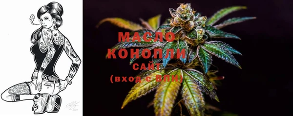 гидра Каменка