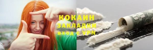 гидра Каменка