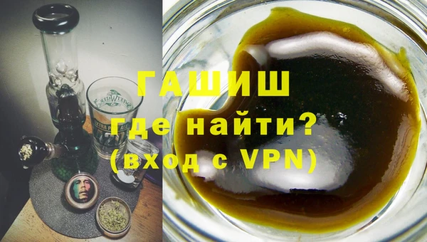 гидра Каменка
