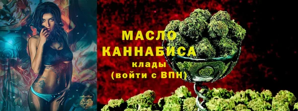 гидра Каменка