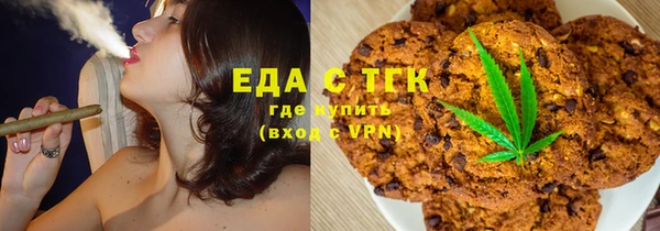 гидра Каменка