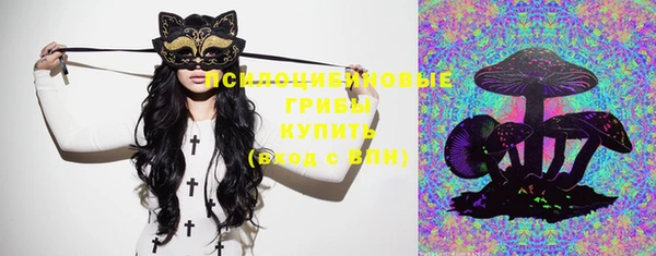 гидра Каменка