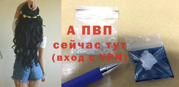 гидра Каменка