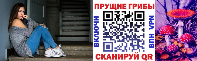 Галлюциногенные грибы Cubensis  купить наркотик  Корсаков 