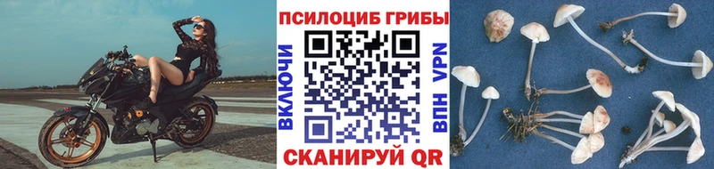 Галлюциногенные грибы ЛСД Корсаков