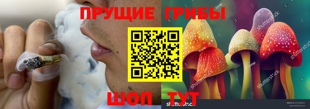 Корсаков  Псилоцибиновые грибы Psilocybine cubensis  Вход с VPN 
