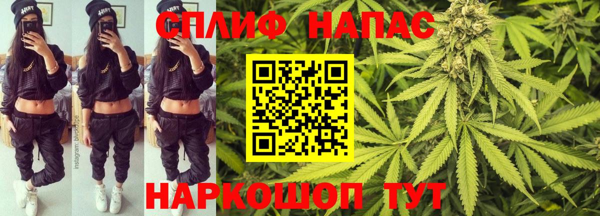 Каннабис конопля Корсаков